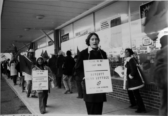 (3218) D'Arrigo Boycott, Pickets, 1973 (3218) D'Arrigo Boycott, Pickets, 1973
